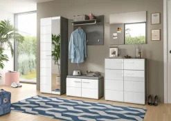 Armoire d'entrée FICHE