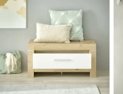 Banc à chaussures BALIN