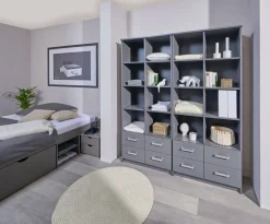 Bibliothèque  ELENZIO