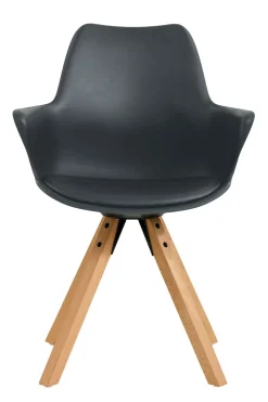 Lot de 2 chaises EGON