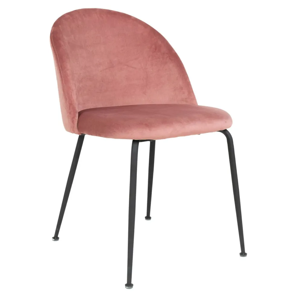 Lot de 2 chaises GENEVE