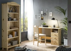 Lot de 2 chaises PALISEUL