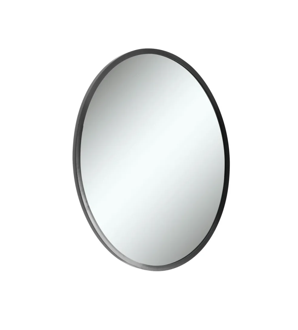 Miroir 5411300