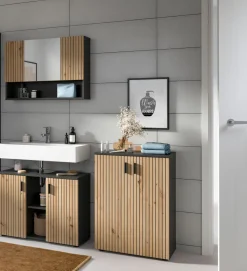 Salle de bains combinée 3 éléments MONE