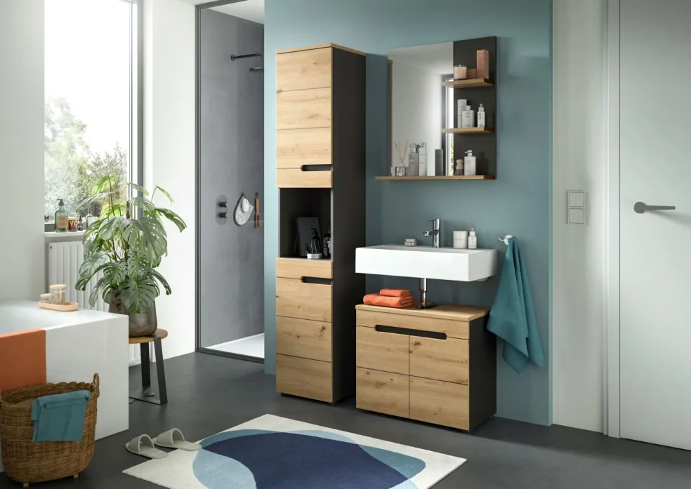 Salle de bains combinée 3 éléments GOBA