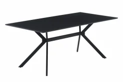 Table de repas BERINGEN