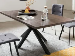 Table de repas BRASSCHAAT