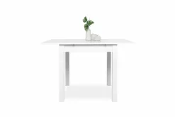 Table de repas COBURG 80