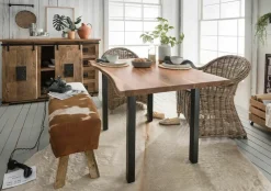 Table de repas PROMO