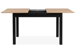 Table extensible COBURG 120