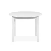 Table extensible COBURG 100