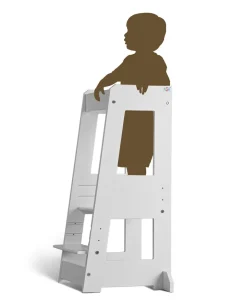 Tour d'observation FELIX