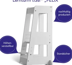 Tour d'observation FELIX