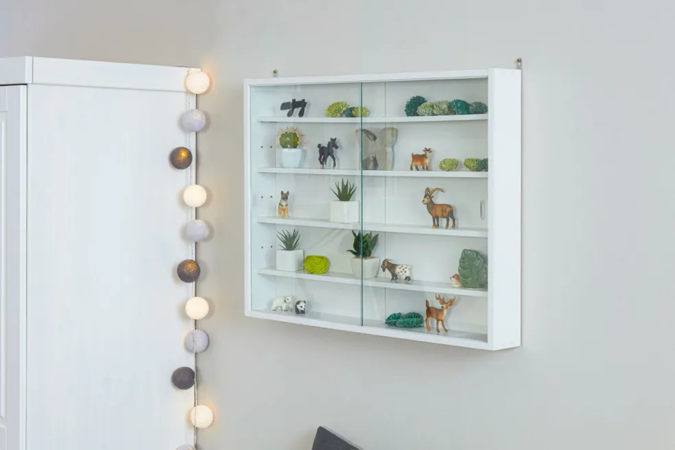 Vitrine de collectionneur COMPILATI